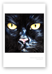 post card, artistic post card, stylish greeting car, birthday card, valentine card, christmas card, fine art post card, gift idea, unique post card, artist original post card, gift card, cool gift card,  funny card, funny gift card, humorous gift card, cat face close up painting, funny cat face painting, black cat artwork, black cat painting, gift idea, cat lover, art for child's room, love, animal love 