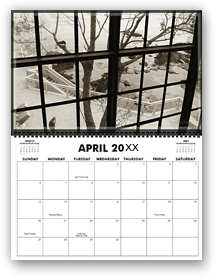 cool photography calendar, cool calendar, black and white calendar, black and white photography calendar, sepia photography, best selling calendar, artistic calendar, San Francisco calendar,scenery out of window, monterey bay aquarium, large size calendar