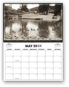 cool photography calendar, cool calendar, black and white calendar, black and white photography calendar, sepia photography, best selling calendar, artistic calendar, San Francisco calendar, golden gate park, botanical garden, lake, pond, ducks, nature, trees, large size calendar