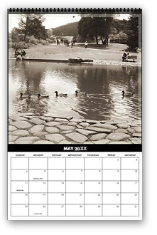 cool photography calendar, cool calendar, black and white calendar, black and white photography calendar, sepia photography, best selling calendar, artistic calendar, San Francisco calendar, golden gate park, botanical garden, lake, pond, ducks, nature, trees