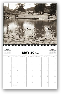 cool photography calendar, cool calendar, black and white calendar, black and white photography calendar, sepia photography, best selling calendar, artistic calendar, San Francisco calendar, golden gate park, botanical garden, lake, pond, ducks, nature, trees