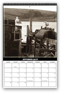 cool photography calendar, cool calendar, black and white calendar, black and white photography calendar, sepia photography, best selling calendar, artistic calendar, San Francisco calendar, Drakes bay, oyster farm, nature, bay, ocean, seagull, bird, animal