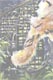 art for sale online, artist original oil paintings, buy art online, buy artist original artwork online, cool artwork, cool art, cool to share on facebook, contemporary art, Hiroko Sakai, modern art for sale, online art galleries, original art, original paintings, original oil paintings, original oil paintings for sale, oil painting, oil paintings, paintings for sale, paintings for sale online, San Francisco art, something cool, unique art, art to invest on, house warming gift, top contemporary artist, popular, best selling art, tiger, tiger skin, San Francisco, bamboo, cross, crucify, moon, city, zoo, barbed wire 