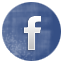 facebook button