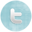 twitter button