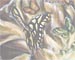 art for sale online, artist original oil paintings, buy art online, buy artist original artwork online, cool artwork, cool art, cool to share on facebook, contemporary art, Hiroko Sakai, modern art for sale, online art galleries, original art, original paintings, original oil paintings, original oil paintings for sale, oil painting, oil paintings, paintings for sale, paintings for sale online, San Francisco art, something cool, unique art, art to invest on, house warming gift, top contemporary artist, popular, best selling art, Japanesque, Japanese art, Asian art, beautiful asian woman painting, Japanese woman painting, butterfly painting, fantasy art, spiritual, Zen, buddhism painting, sablimation
