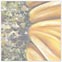 art for sale online, artist original oil paintings, buy art online, buy artist original artwork online, cool artwork, cool art, cool to share on facebook, contemporary art, Hiroko Sakai, modern art for sale, online art galleries, original art, original paintings, original oil paintings, original oil paintings for sale, oil painting, oil paintings, paintings for sale, paintings for sale online, San Francisco art, something cool, unique art, art to invest on, house warming gift, top contemporary artist, popular, best selling art, sun flower painting, sun flower close up painting, yellow, flower art, unique sun flower painting, sun flower art print, sun flower framed artwork